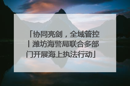 协同亮剑，全域管控丨潍坊海警局联合多部门开展海上执法行动