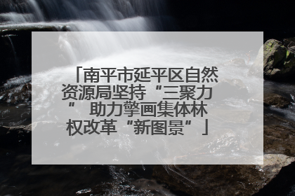 南平市延平区自然资源局坚持“三聚力” 助力擎画集体林权改革“新图景”