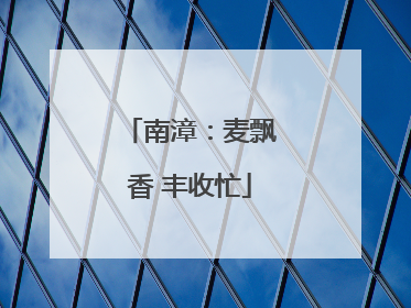 南漳：麦飘香 丰收忙
