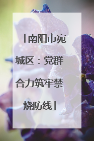 南阳市宛城区：党群合力筑牢禁烧防线