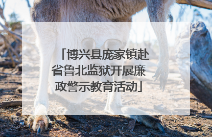 博兴县庞家镇赴省鲁北监狱开展廉政警示教育活动