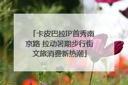 卡皮巴拉IP首秀南京路 拉动暑期步行街文旅消费新热潮