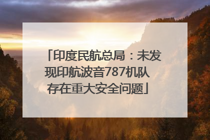 印度民航总局：未发现印航波音787机队存在重大安全问题