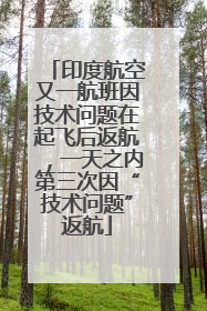 印度航空又一航班因技术问题在起飞后返航，一天之内第三次因“技术问题”返航