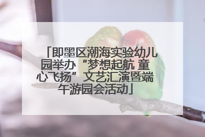 即墨区潮海实验幼儿园举办“梦想起航 童心飞扬”文艺汇演暨端午游园会活动