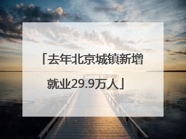 去年北京城镇新增就业29.9万人