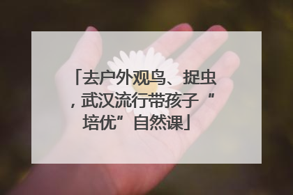 去户外观鸟、捉虫，武汉流行带孩子“培优”自然课