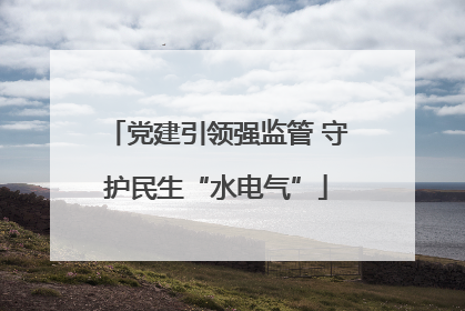 党建引领强监管 守护民生“水电气”