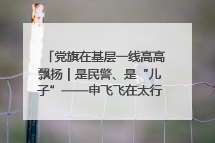 党旗在基层一线高高飘扬｜是民警、是“儿子”——申飞飞在太行山中的一线坚守