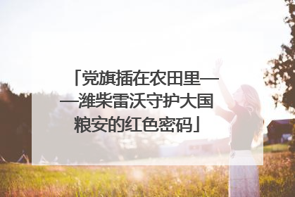 党旗插在农田里——潍柴雷沃守护大国粮安的红色密码