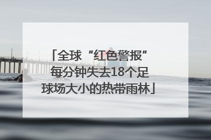 全球“红色警报”  每分钟失去18个足球场大小的热带雨林