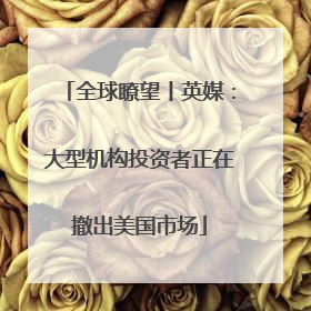 全球瞭望丨英媒：大型机构投资者正在撤出美国市场