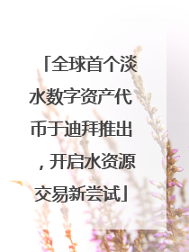 全球首个淡水数字资产代币于迪拜推出，开启水资源交易新尝试