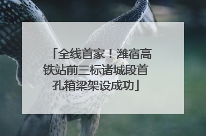 全线首家！潍宿高铁站前三标诸城段首孔箱梁架设成功