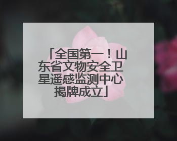 全国第一！山东省文物安全卫星遥感监测中心揭牌成立