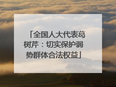 全国人大代表葛树芹：切实保护弱势群体合法权益