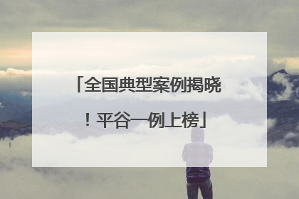 全国典型案例揭晓！平谷一例上榜