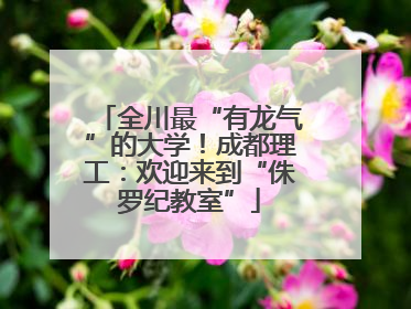 全川最“有龙气”的大学！成都理工：欢迎来到“侏罗纪教室”
