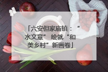六安但家庙镇：“水文章” 绘就“和美乡村”新画卷