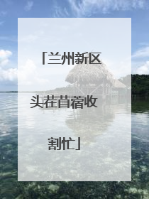 兰州新区头茬苜蓿收割忙