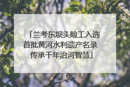 兰考东坝头险工入选首批黄河水利遗产名录 传承千年治河智慧
