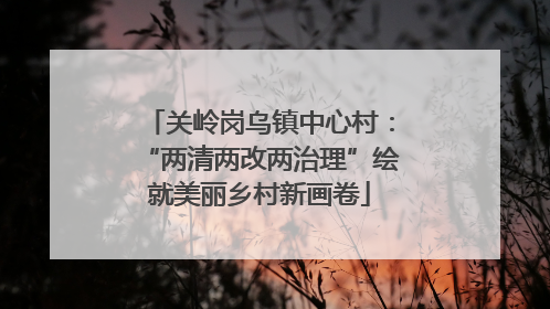 关岭岗乌镇中心村：“两清两改两治理”绘就美丽乡村新画卷