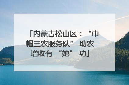 内蒙古松山区：“巾帼三农服务队” 助农增收有 “她” 功