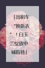 出租车“换新衣”！白玉兰绽放申城街巷