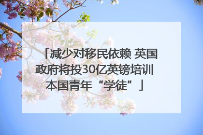 减少对移民依赖 英国政府将投30亿英镑培训本国青年“学徒”