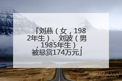 刘燕（女，1982年生）、刘波（男，1985年生），被悬赏174万元