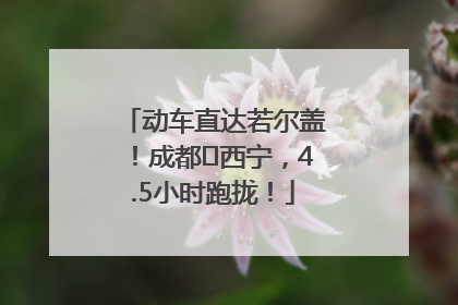 动车直达若尔盖！成都⇄西宁，4.5小时跑拢！