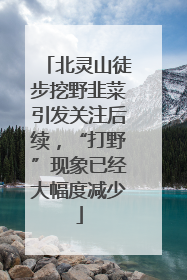 北灵山徒步挖野韭菜引发关注后续，“打野”现象已经大幅度减少
