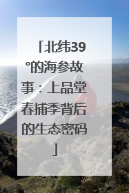 北纬39°的海参故事：上品堂春捕季背后的生态密码