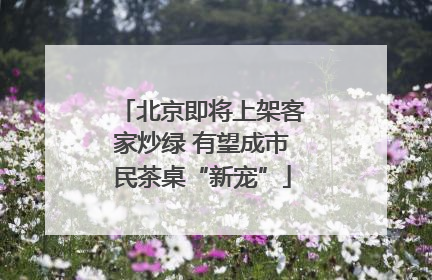 北京即将上架客家炒绿 有望成市民茶桌“新宠”