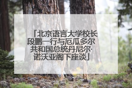 北京语言大学校长段鹏一行与厄瓜多尔共和国总统丹尼尔·诺沃亚阁下座谈