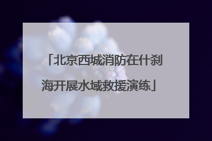 北京西城消防在什刹海开展水域救援演练