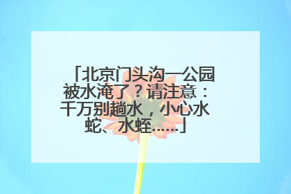 北京门头沟一公园被水淹了？请注意：千万别趟水，小心水蛇、水蛭……