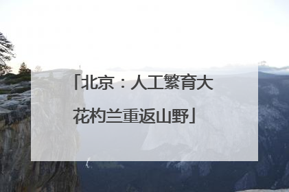 北京：人工繁育大花杓兰重返山野