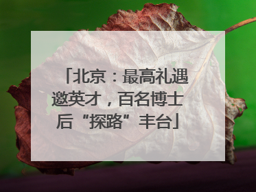 北京：最高礼遇邀英才，百名博士后“探路”丰台