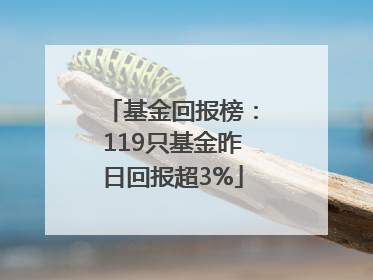 基金回报榜：119只基金昨日回报超3%