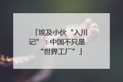 埃及小伙“入川记”：中国不只是“世界工厂”
