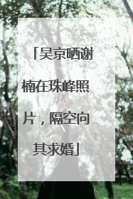 吴京晒谢楠在珠峰照片，隔空向其求婚