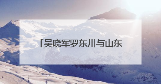 吴晓军罗东川与山东大学党委书记任友群校长李术才一行座谈