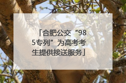 合肥公交“985专列”为高考考生提供接送服务