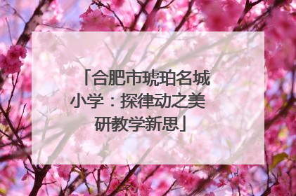 合肥市琥珀名城小学：探律动之美 研教学新思