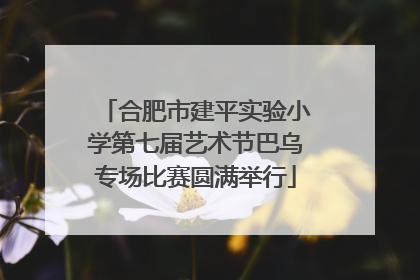 合肥市建平实验小学第七届艺术节巴乌专场比赛圆满举行
