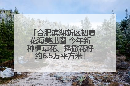 合肥滨湖新区初夏花海美出圈 今年新种植草花、播撒花籽约6.5万平方米