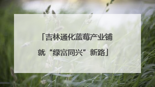 吉林通化蓝莓产业铺就“绿富同兴”新路