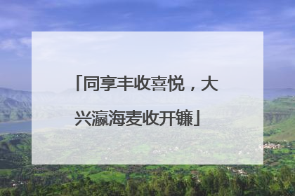 同享丰收喜悦，大兴瀛海麦收开镰