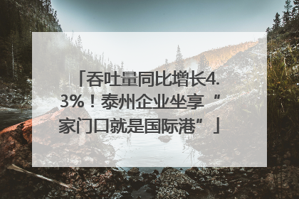 吞吐量同比增长4.3%！泰州企业坐享“家门口就是国际港”